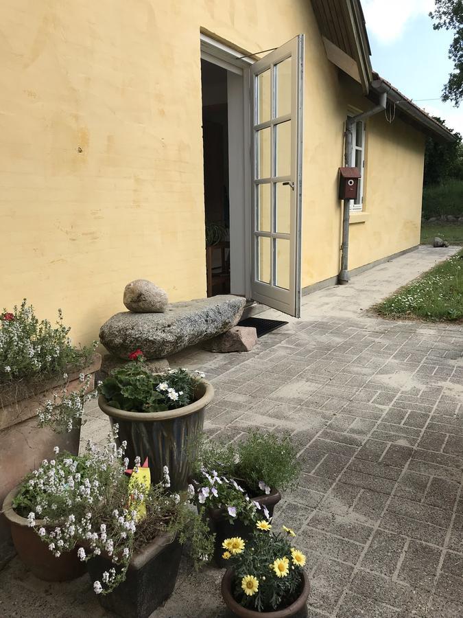 Tranum Lys Og Glas Brovst Luaran gambar